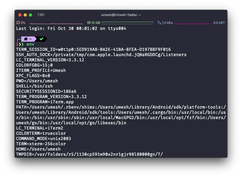 Terminal listing environment variables with env