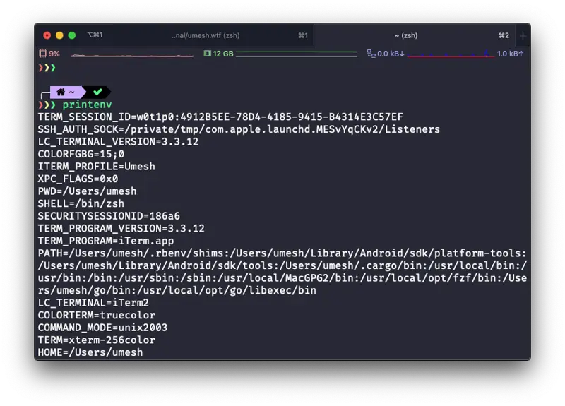 Terminal listing all environment variables with printenv