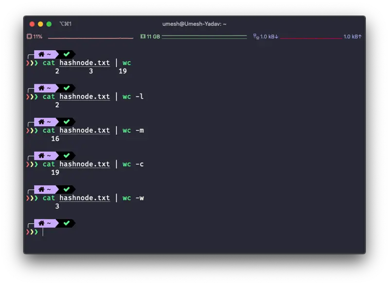 Piping another command into wc