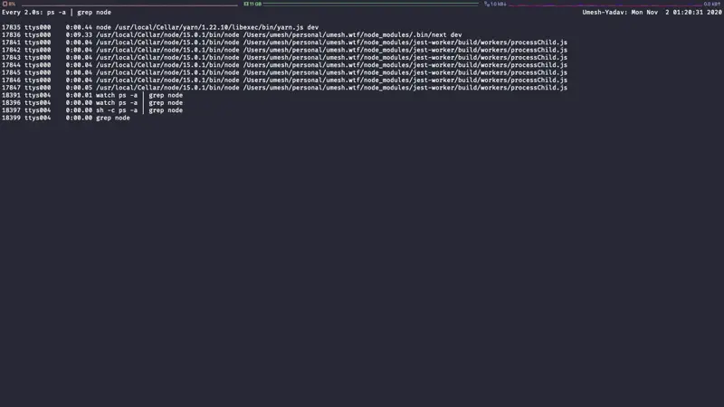 watch monitoring filtered Node.js processes