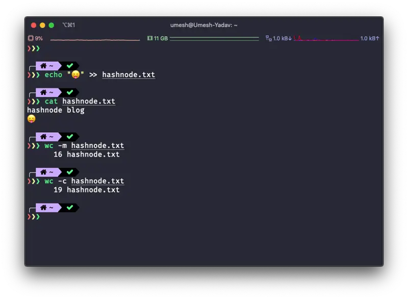 Different byte and character counts for text containing an emoji