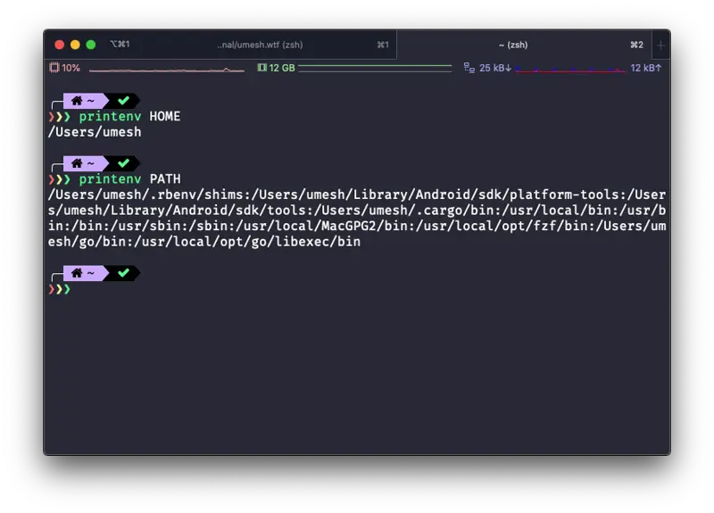 Terminal printing one environment variable with printenv