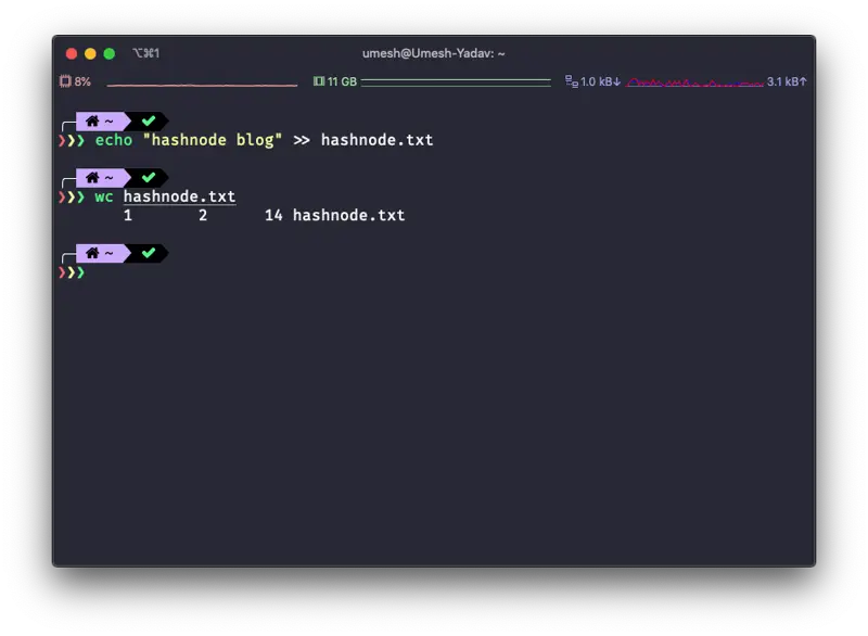 Terminal output from the wc command